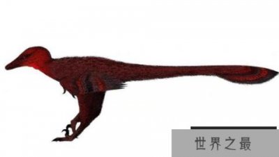 ​佛舞龙：亚洲小型恐龙（体长不足1米/白垩纪早期恐龙）