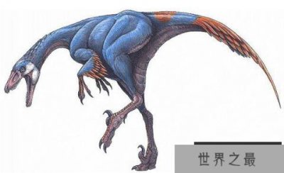 ​中国鸟脚龙：最小的肉食性恐龙（长1.1米/早白垩世肉食恐龙）